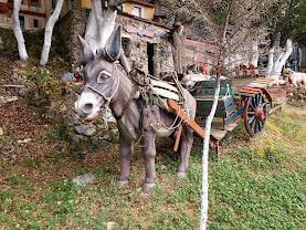 Crete Transfer and tour